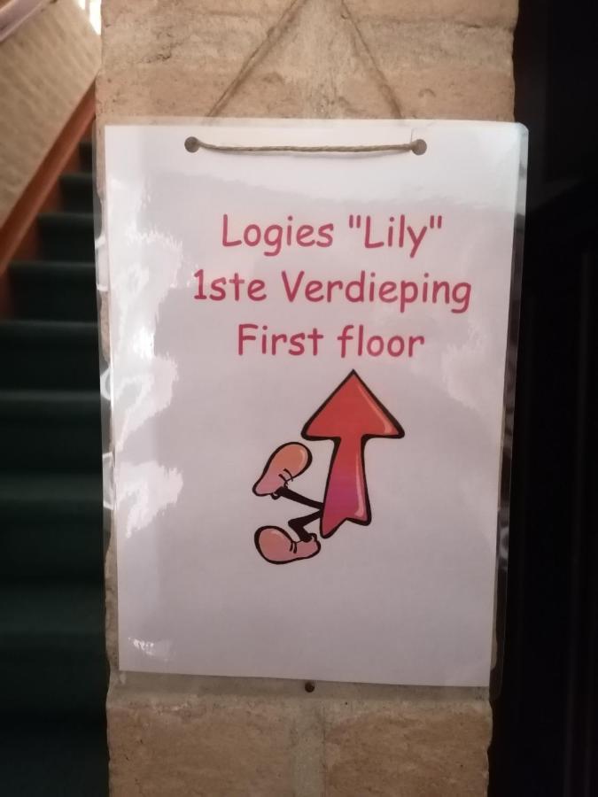 Logies Lily Apartman Oudenburg Kültér fotó